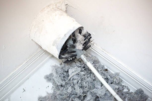 Best HVAC Air Duct Cleaning  in Lone Tree, IA