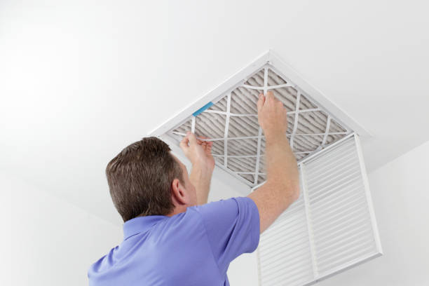 Best Best Air Duct Cleaning Company  in Lone Tree, IA